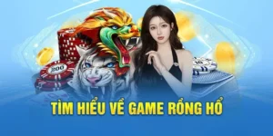 Khám Phá Trò Chơi Dragon Tiger Tại BK8 Hấp Dẫn