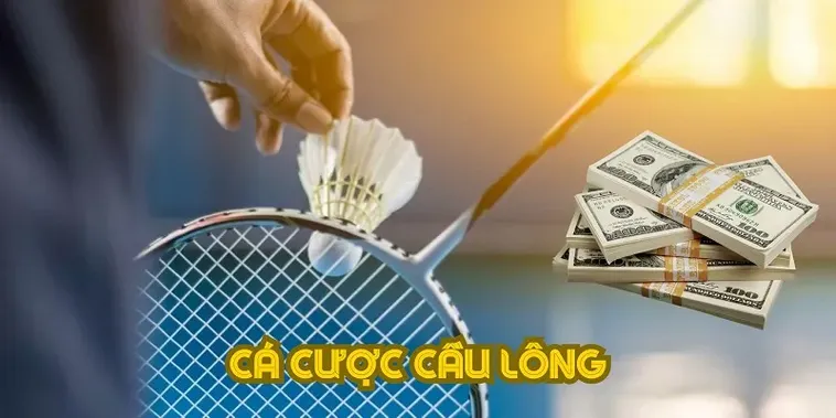 Cách Chơi Cá Cược Cầu Lông Tại BK8 Hiệu Quả Nhất