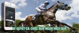 Tìm Hiểu Cá Cược Đua Ngựa BK8: Hành Trình Thú Vị