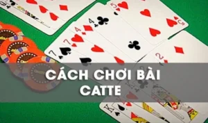 Hướng Dẫn Cách Chơi Sắc Tê Nhà Cái BK8 Chi Tiết