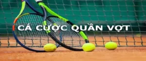 Tìm Hiểu Cá Cược Quần Vợt BK8: Hành Trình Thú Vị